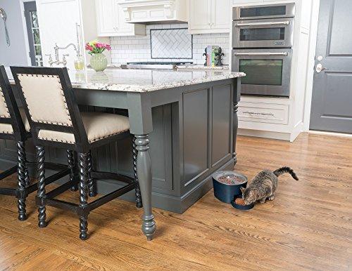 PetSafe® Six Meal Feeder