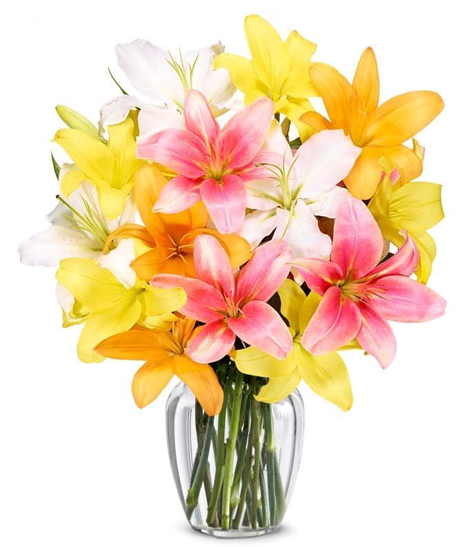 From You Flowers - Stunning Lily Bouquet for Birthday, Anniversary, Get Well, Congratulations, Thank You, All Occasions