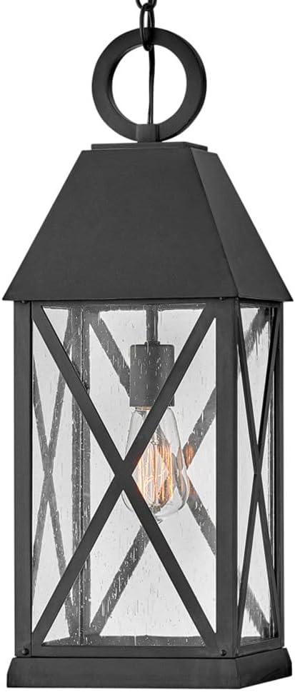 Briar 1 - Light Lantern Pendant