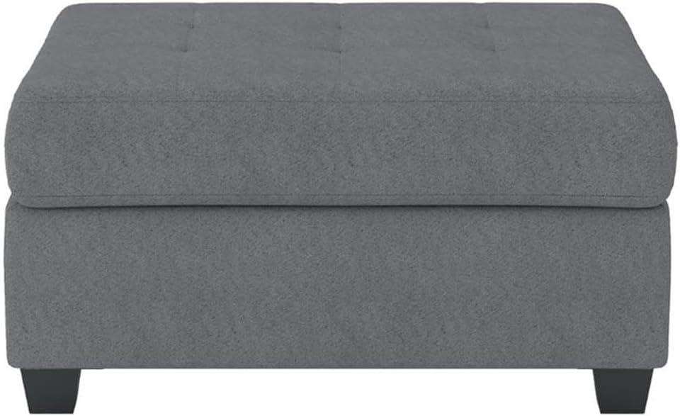 Lexicon Maston Microfiber Ottoman with Storage in Chocolate