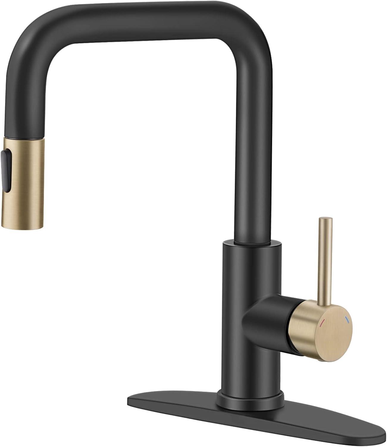 Matte Black and Brushed Gold Stainless Steel Pull-Out Kitchen Faucet