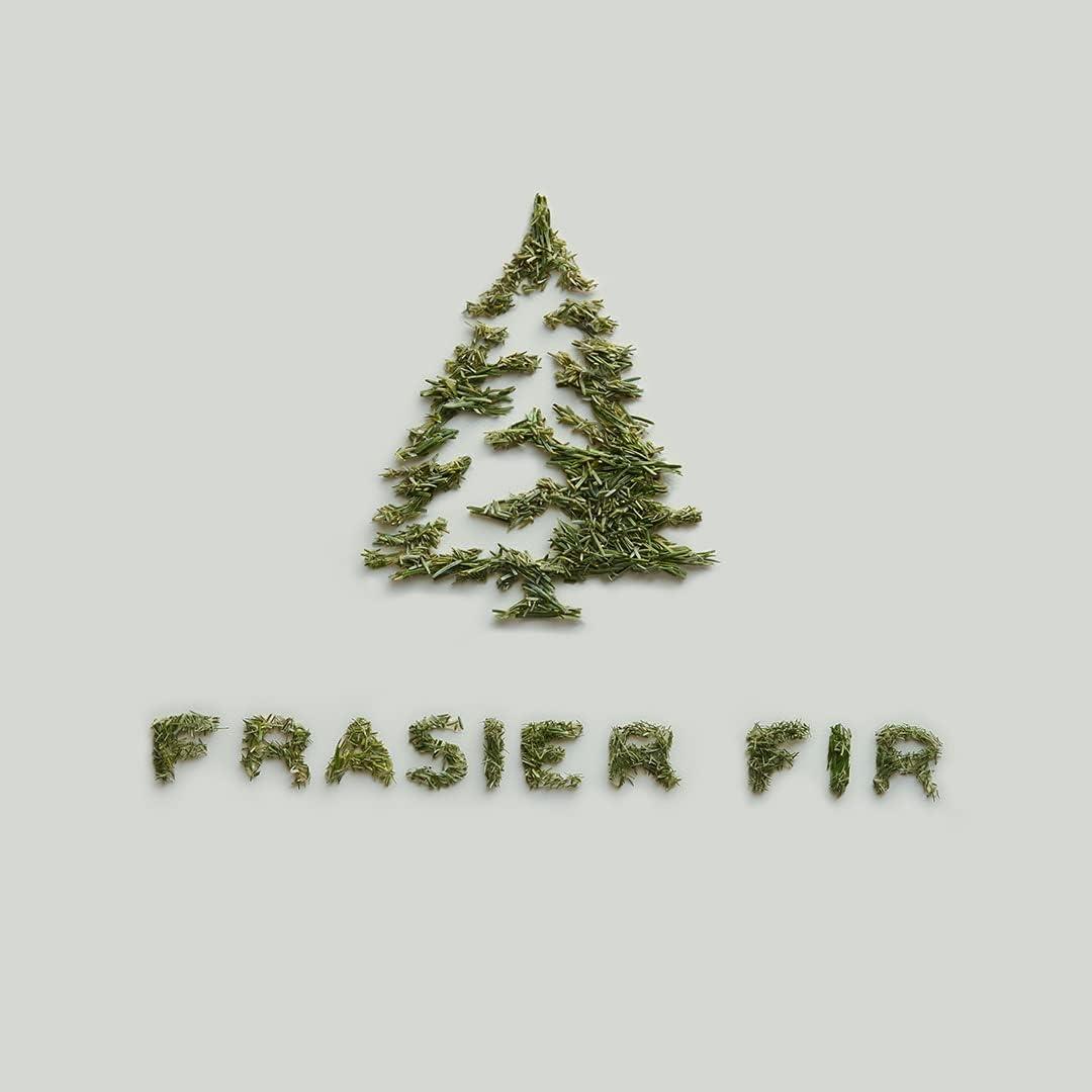 Thymes Frasier Fir Pine Needle Reed Diffuser 7.75 oz