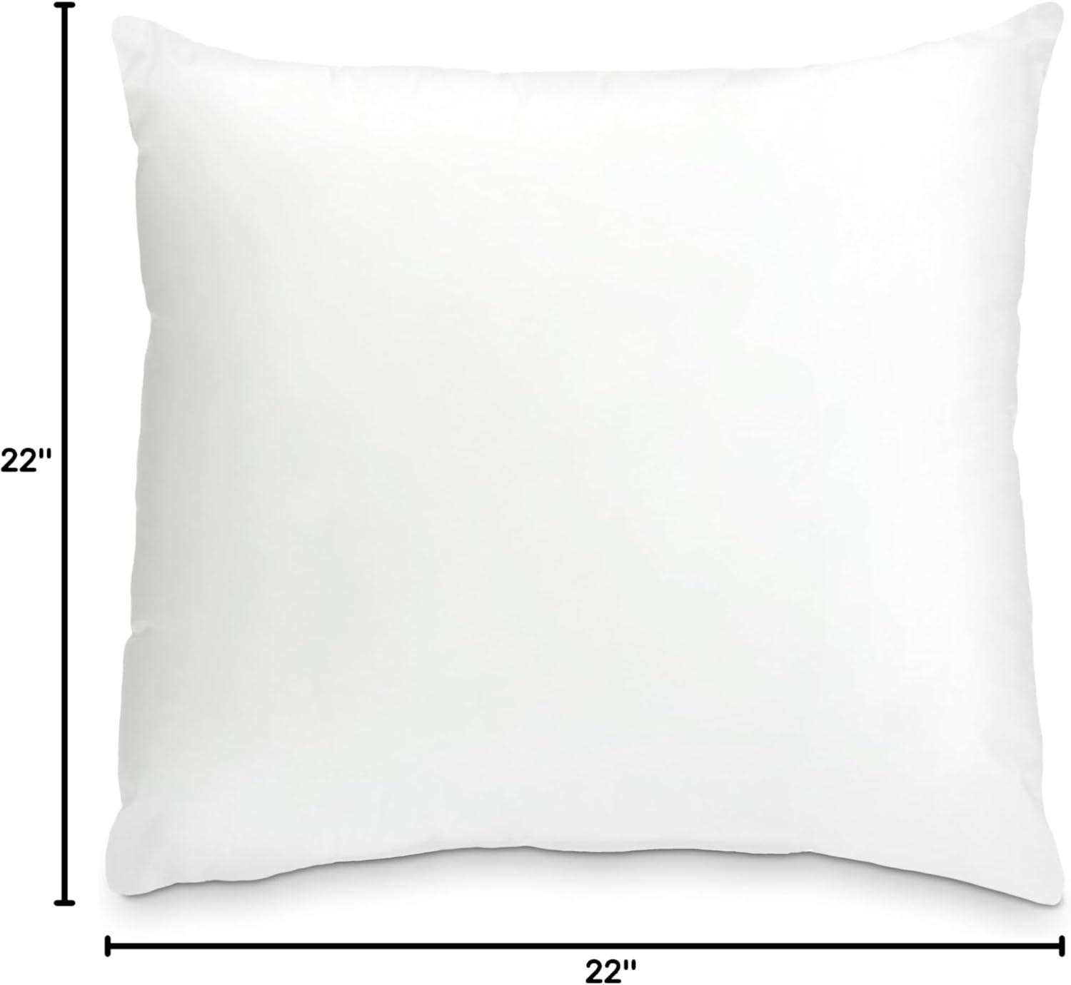 22x22 Square Pillow Insert for Sham or Decorative pillow Made in USA (22x22)