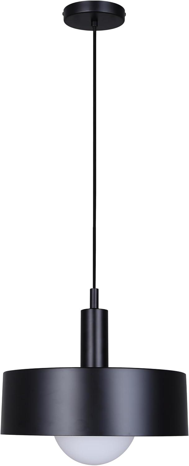 Matte Black Glass Drum Pendant Light with LED Bulb