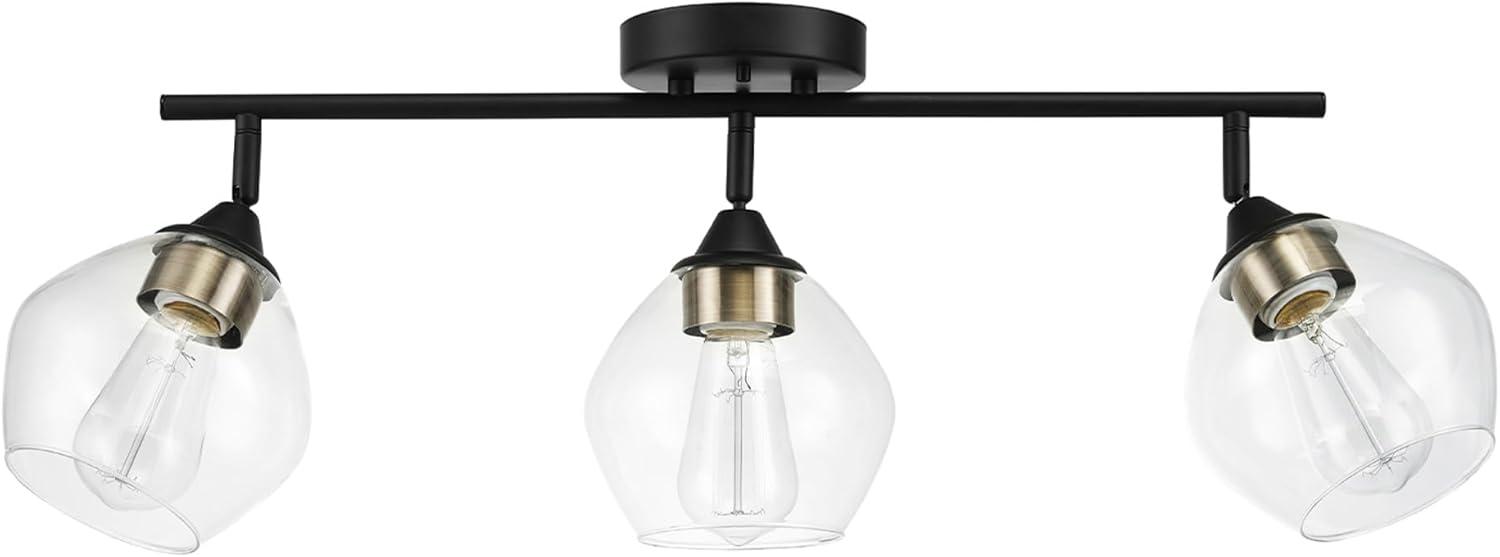 Harrow 3-Light Matte Black Track Lighting with Antique Brass Accents and Clear Glass Shades