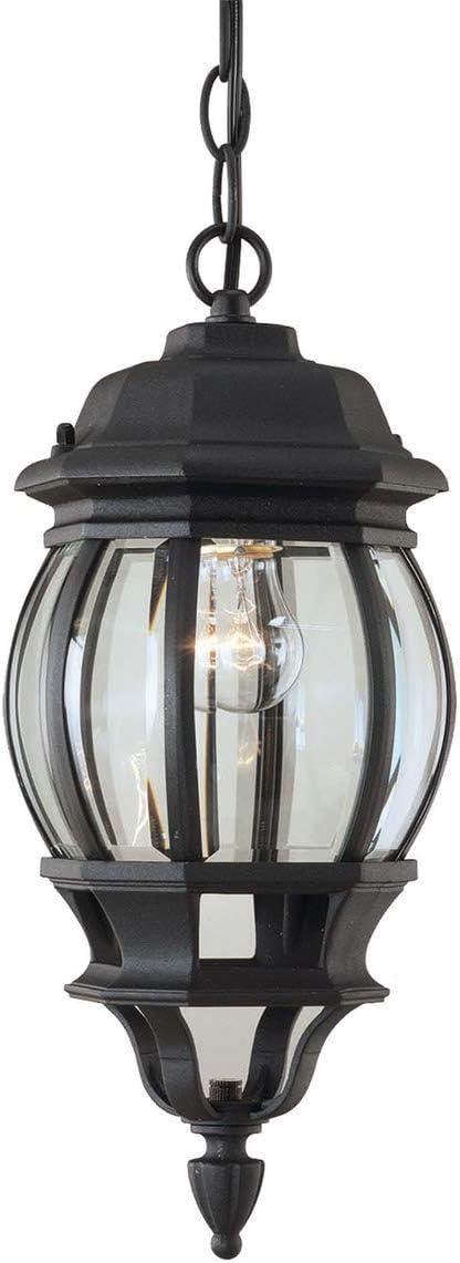 Forte Lighting 1702-01 Outdoor Pendant From The Exterior Lighting Collection - Black