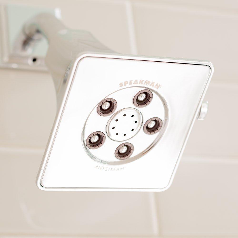 Rainier 2.0 GPM Adjustable Shower Head