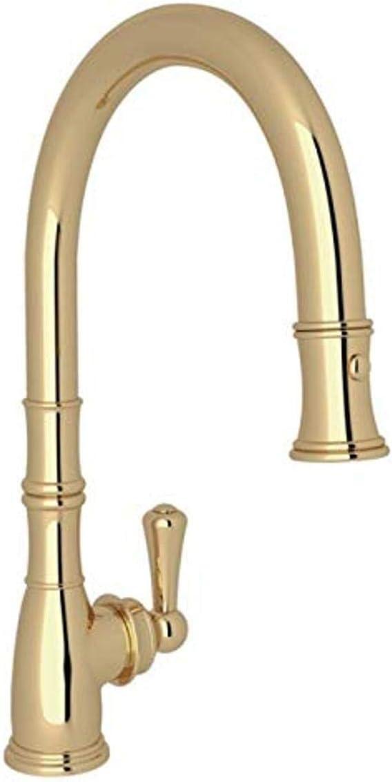 Georgian Era™ Pull Down Single Handle Kitchen Faucet