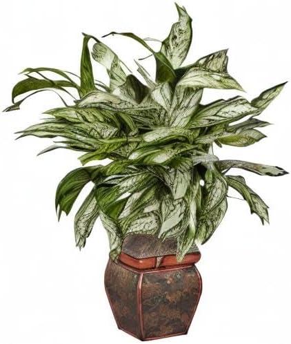 Nearly Natural Silver Queen with Decorative Planter Silk Plant