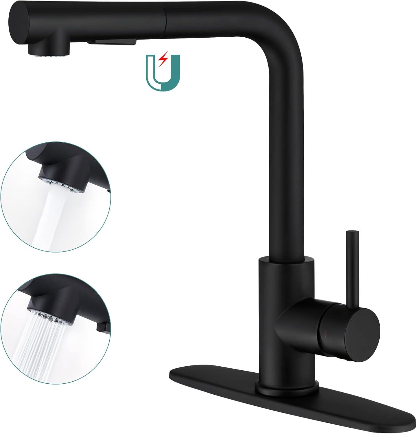 Matte Black Stainless Steel Pull-Out Spray Kitchen Faucet