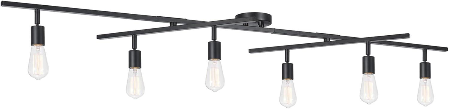 Matte Black 6-Light Double Swivel Track Lighting