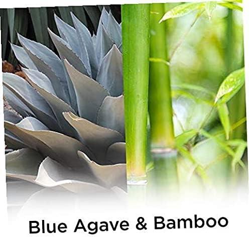 Air Wick Essential Oils Air Fresheners - Blue Agave and Bamboo - 3.38 fl oz