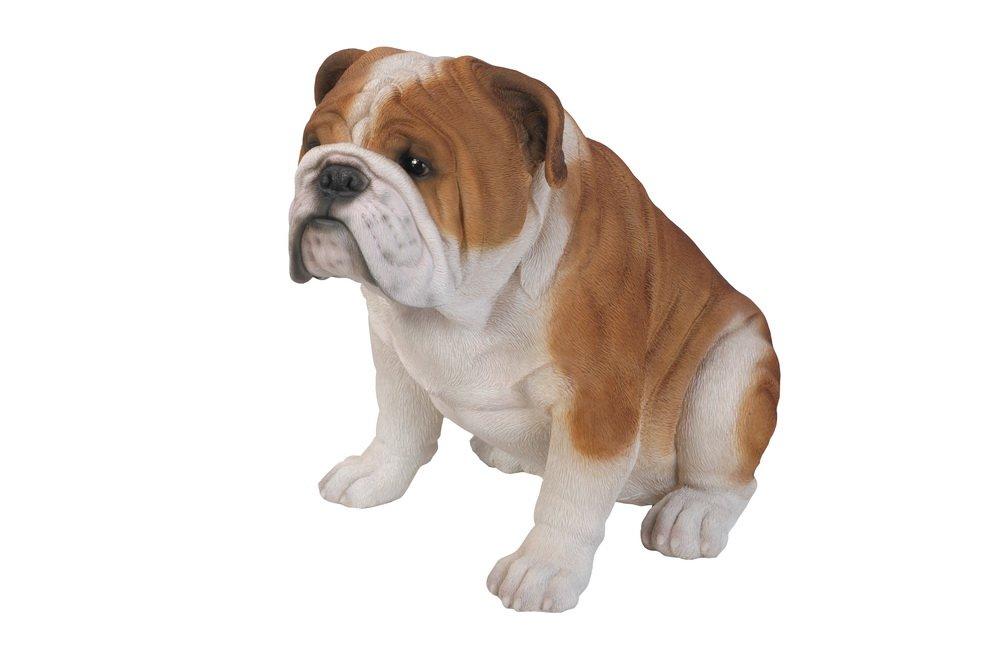 Hi-Line Gift Ltd. Dog Bulldog Statue
