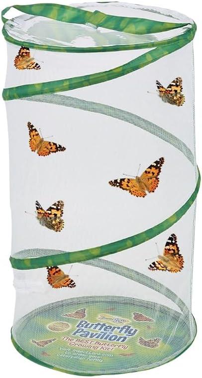 Butterfly Pavilion School Kit with 33 Live Caterpillars and STEM Journal