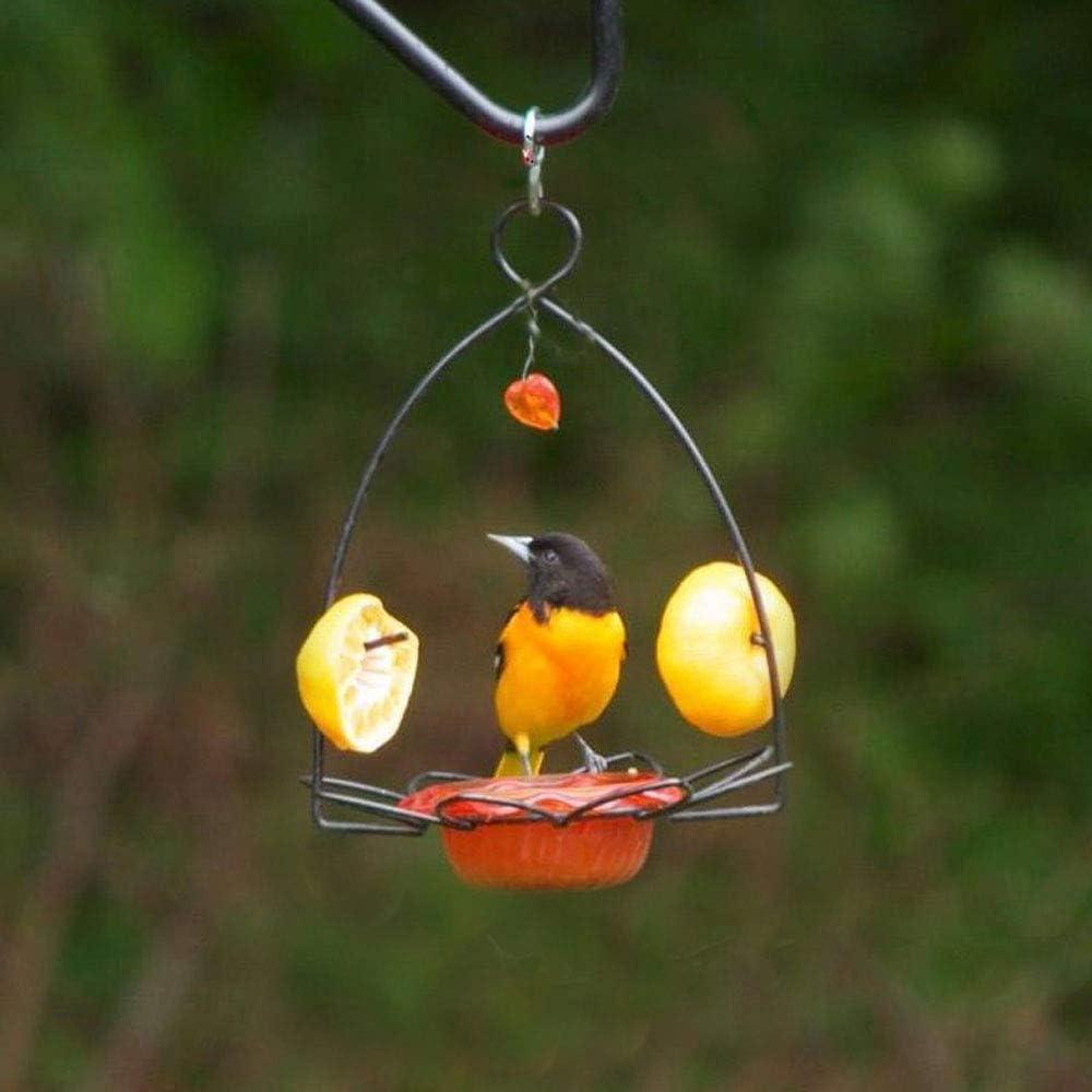 Oriole Feeder Flower Shape for Oranges and Jelly