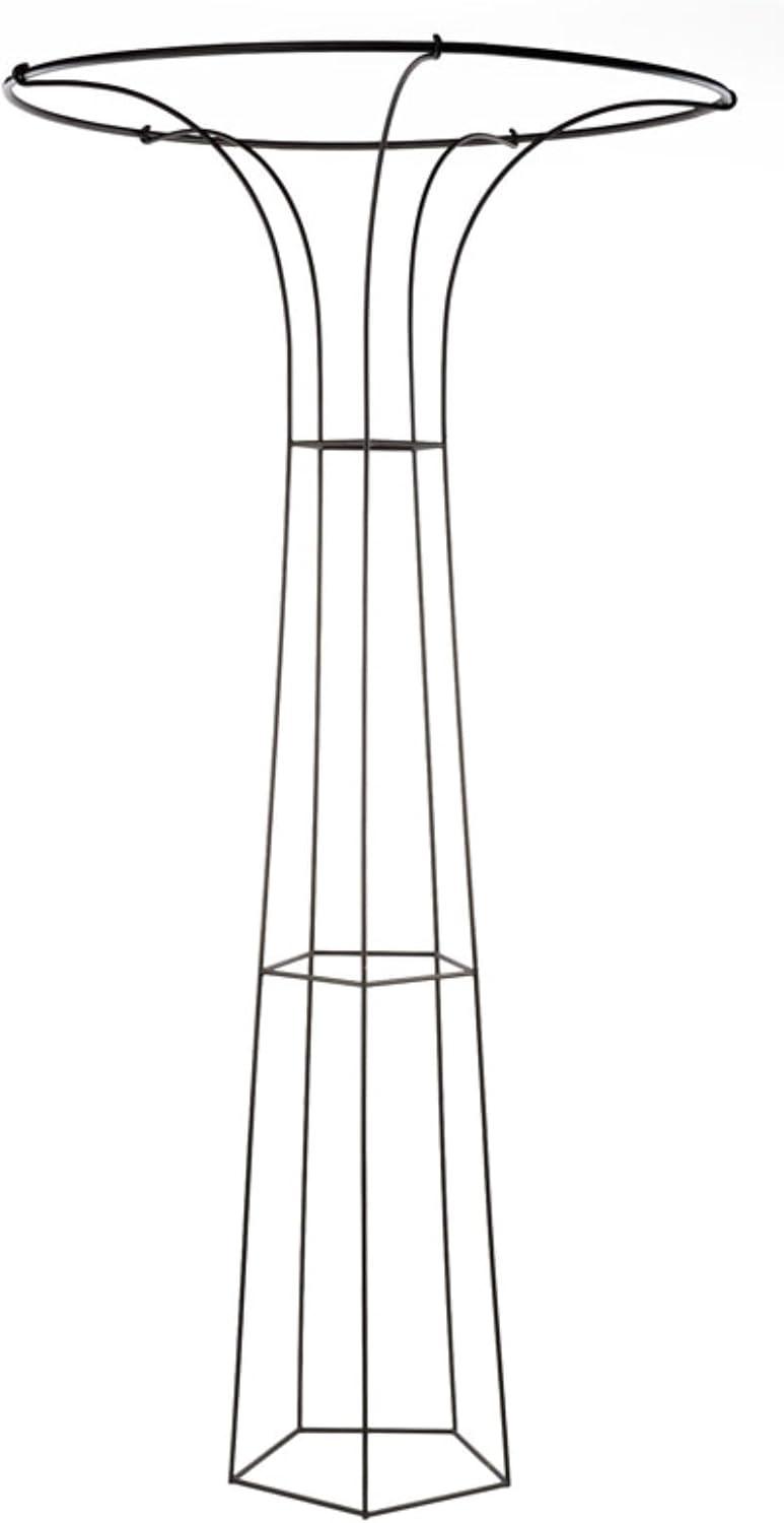 Roman Bronze 72-Inch Wrought Iron Trellis with Canopy