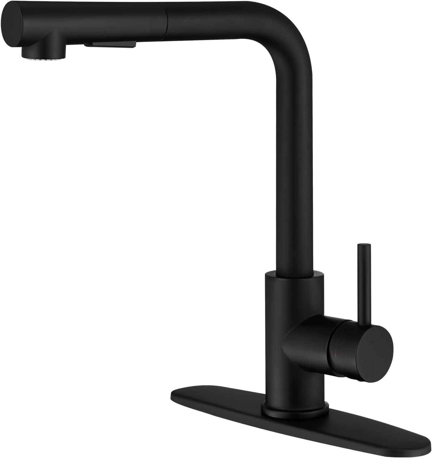 Matte Black Stainless Steel Pull-Out Spray Kitchen Faucet