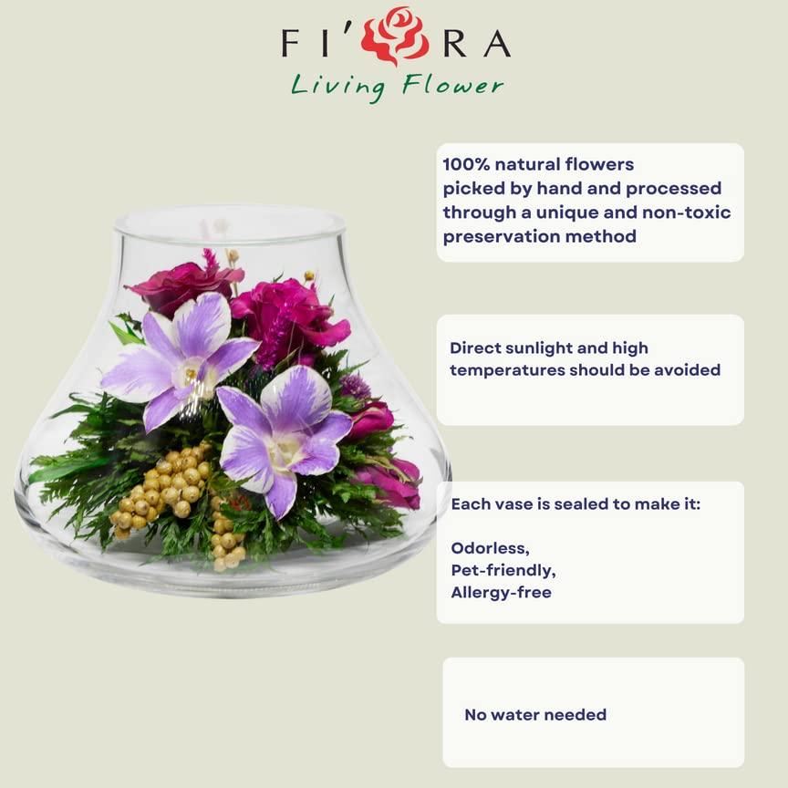 Fiora Flower Long-Lasting Roses and Orchids in a Glass Vase