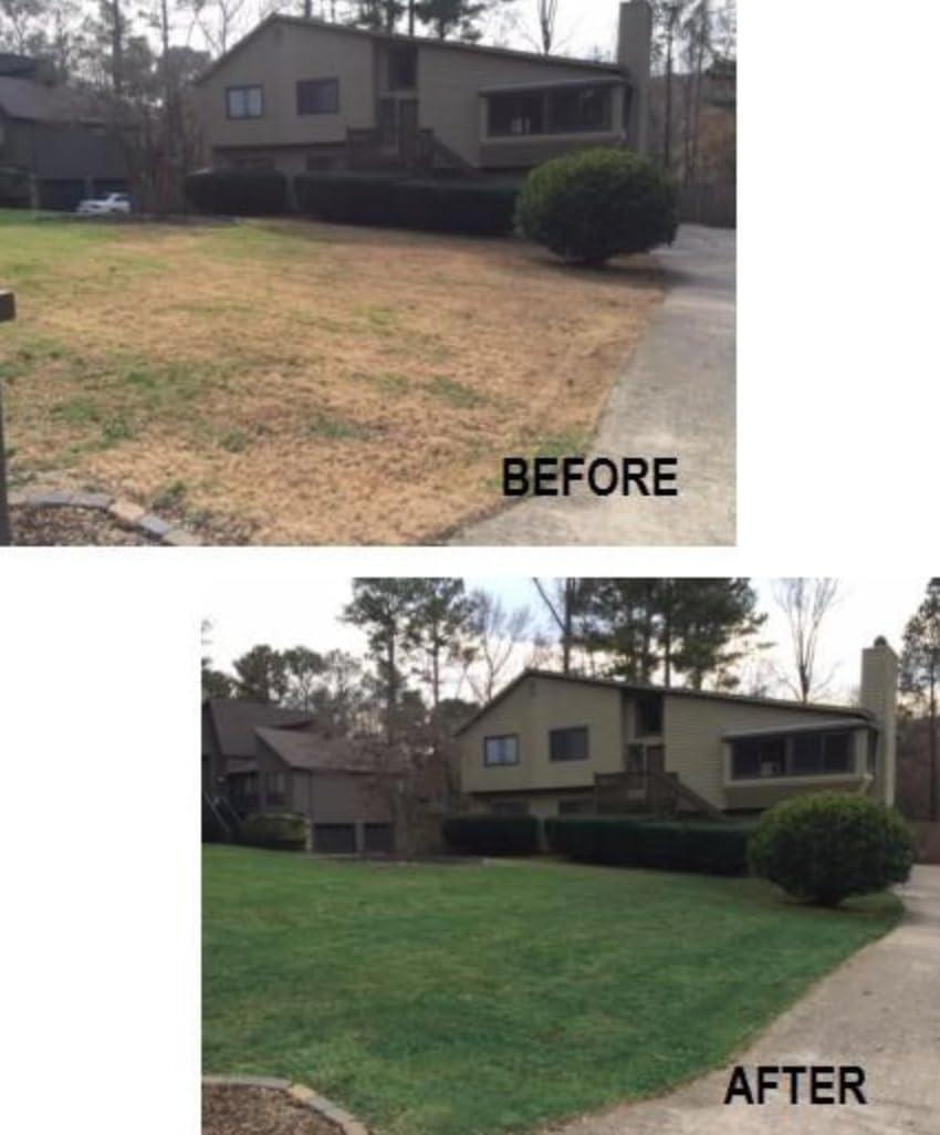 EnviroColor 4 Ever Green Grass Paint Gallon Treats 4,000 Ft², Treatment for Grass and Turf