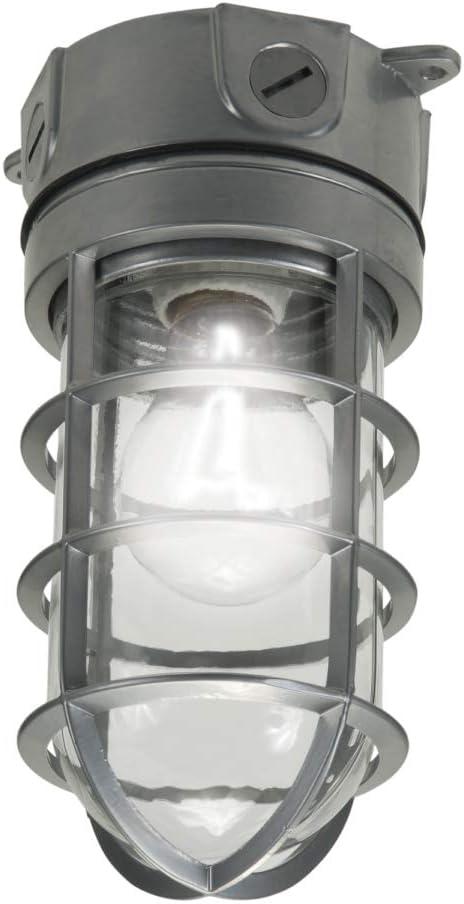 Gray 100W Incandescent Vapor Tight Flood Light