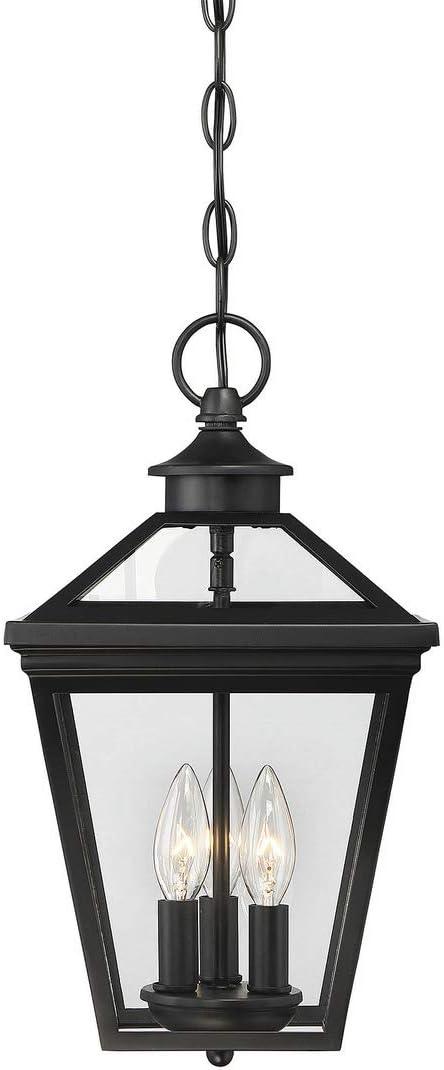 Ellijay Black and Clear Glass 3-Light Outdoor Hanging Lantern