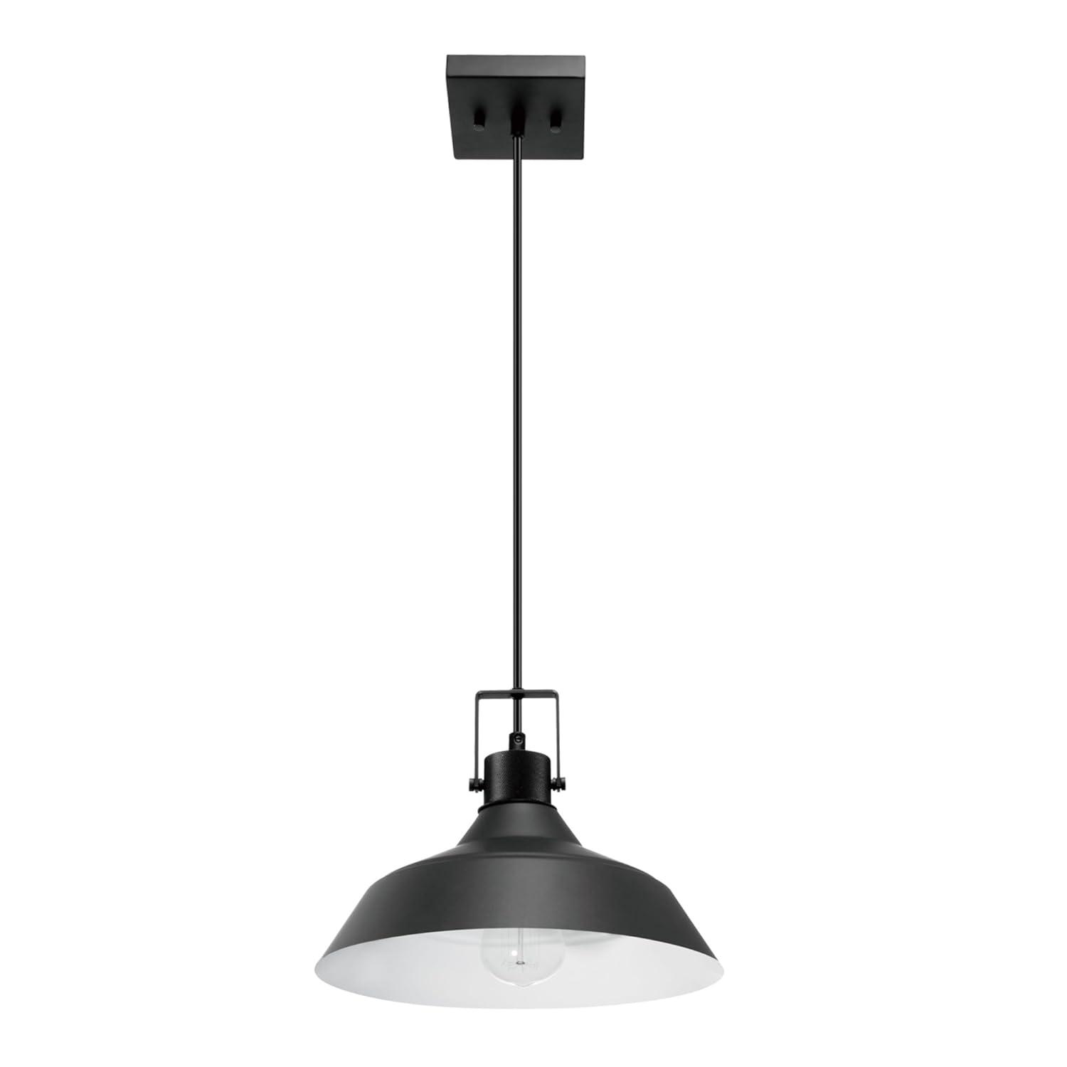 1-Light Matte Black Outdoor Indoor Pendant Lighting with Textured Socket