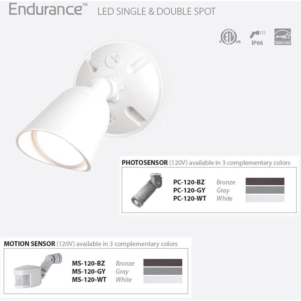 LED Wall Light