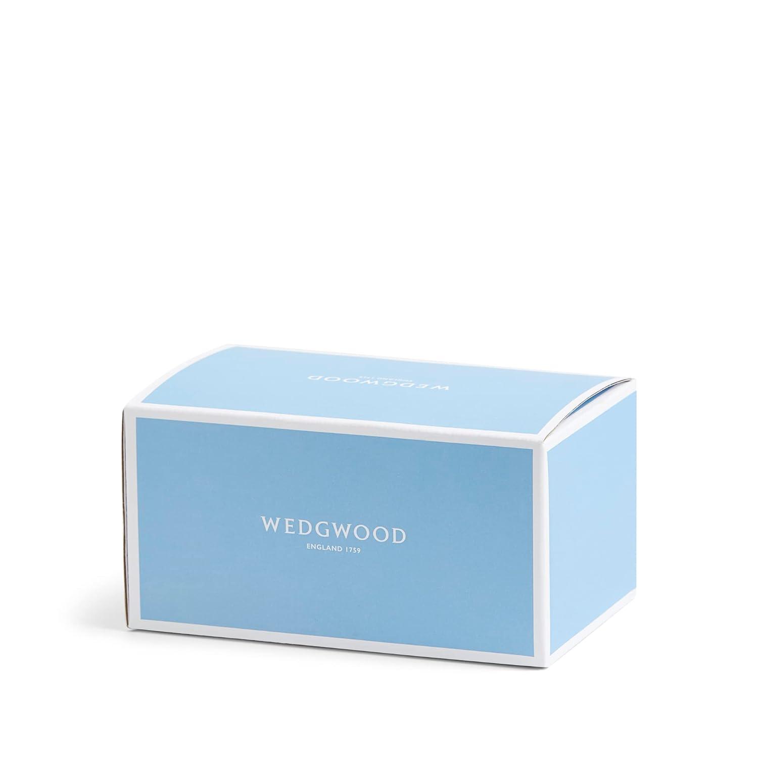 Wedgwood Gio Mugs Set of 2