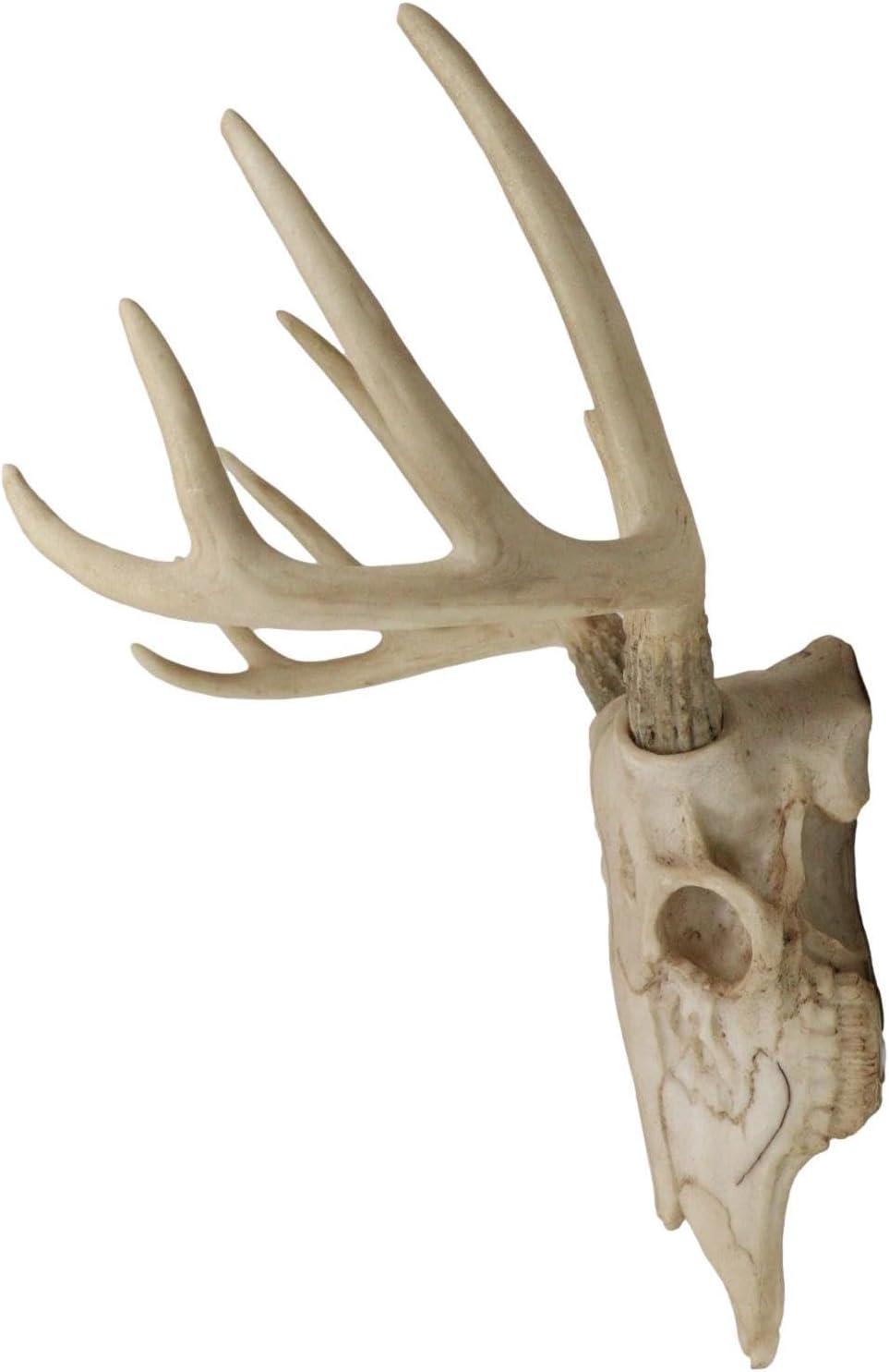 Ebros Gift Rustic Hunter Deer 10 Point Buck Skull Trophy Antlers Wall Mounted Plaque Decor Figurine 14.25" Long Hunter's Antler Rack Theme Deer Buck Hunting Skulls Trophies Hanging Sculpture