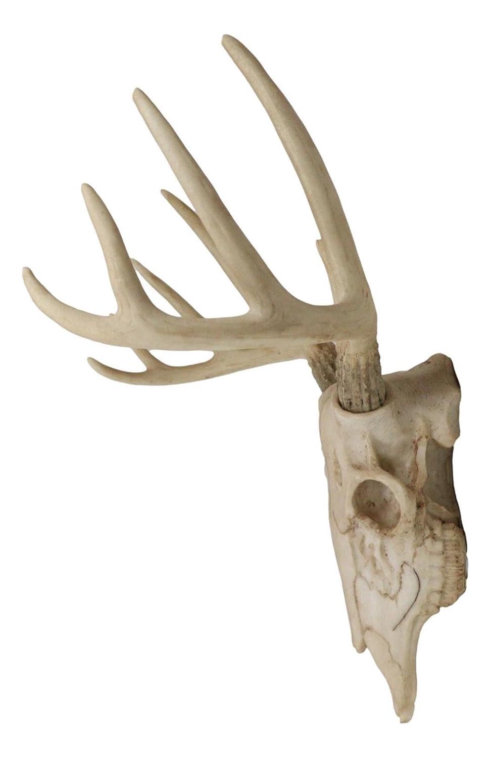 Ebros Gift Rustic Hunter Deer 10 Point Buck Skull Trophy Antlers Wall Mounted Plaque Decor Figurine 14.25" Long Hunter's Antler Rack Theme Deer Buck Hunting Skulls Trophies Hanging Sculpture
