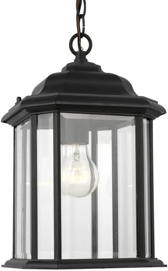 Black Clear Glass Outdoor Pendant Light with LED Option