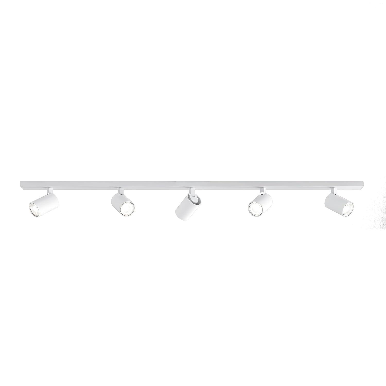 Contemporary Matt Nickel 2-Light Spotlight Ceiling Fixture