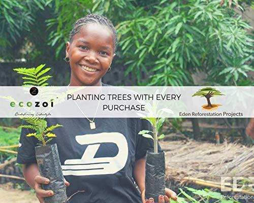 Eco-Friendly Stainless Steel Popsicle Molds with Silicone Seals