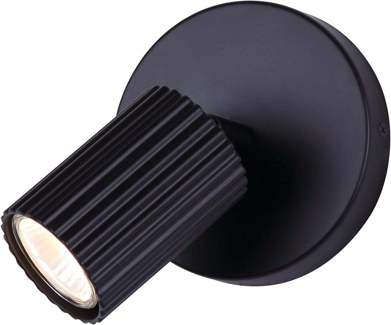 Matte Black Adjustable Metal Wall/Ceiling Track Light