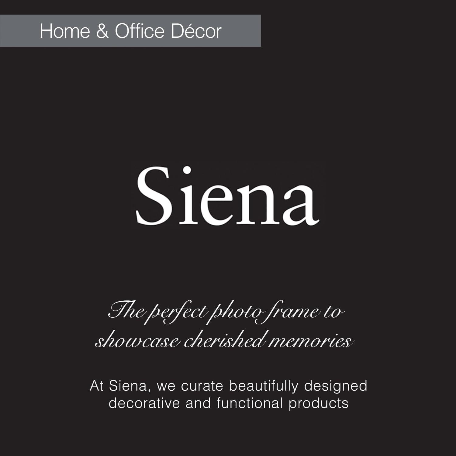 Siena 4x6 Silver-Plated Metal Picture Frame with Velvet Back