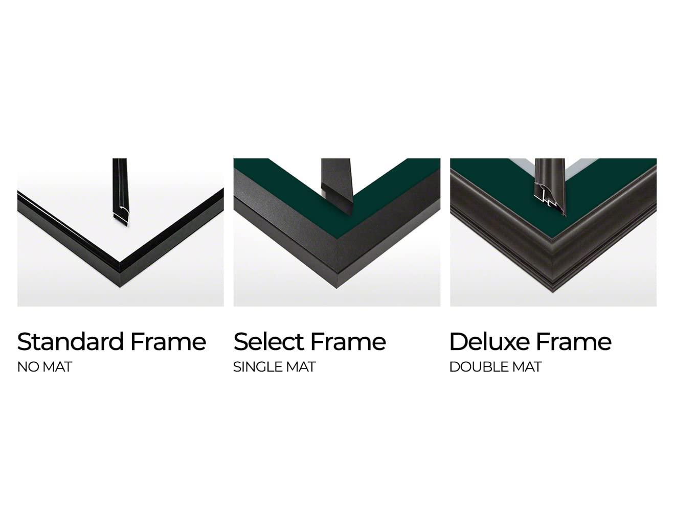 Philadelphia Eagles Super Bowl LIX Champions Panoramic Framed Print