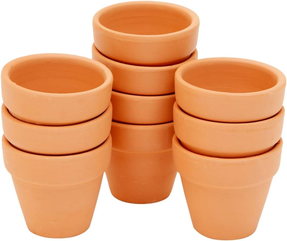 Charming Mini Terracotta Planters with Drainage for Succulents and Herbs, 10-Pack