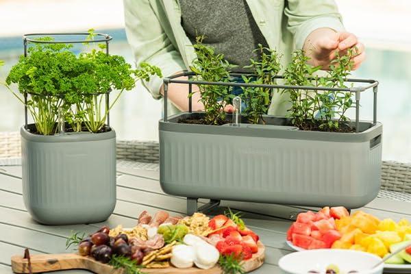 Vego Garden Mini Herb Plastic Outdoor Pot Planter with Trellis