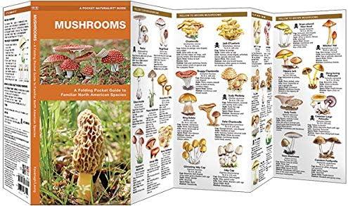 Pocket Naturalist Guides: Mushrooms: An Introduction to Familiar North American Species (Other)