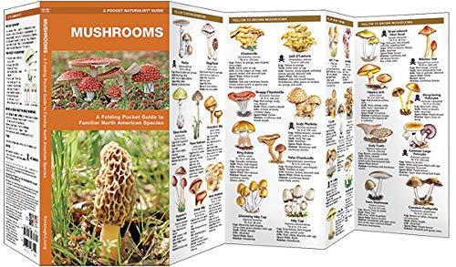 Pocket Naturalist Guides: Mushrooms: An Introduction to Familiar North American Species (Other)