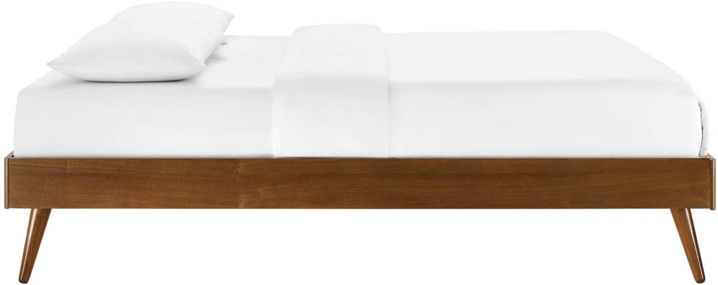 Modway Margo King MDF Wood and Rubberwood Platform Bed Frame in Walnut