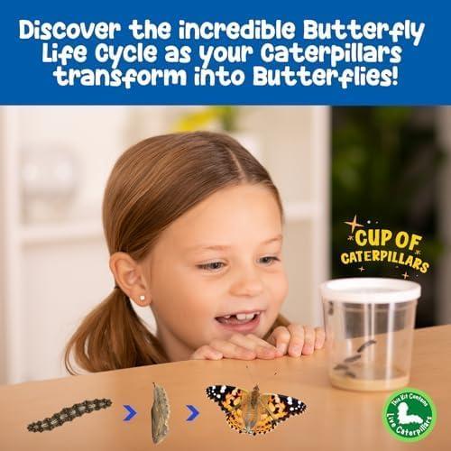 Butterfly Farm Kit with Live Caterpillars and Habitat