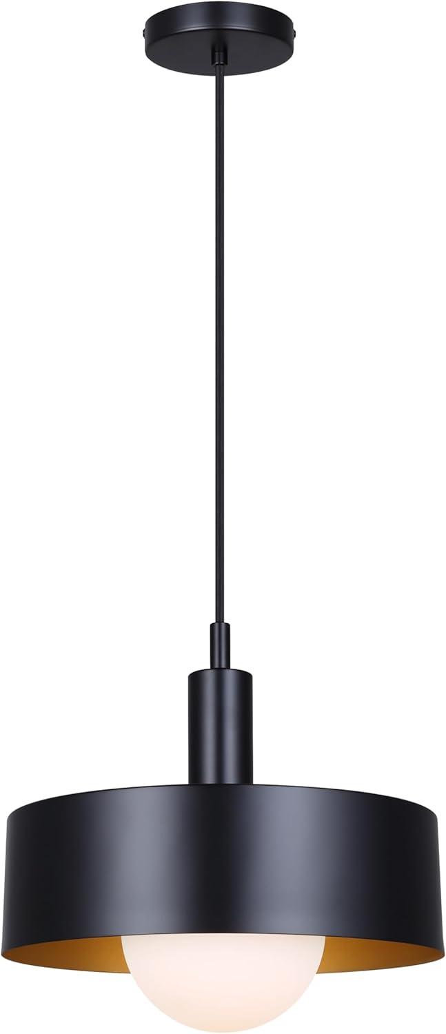 Matte Black Glass Drum Pendant Light with LED Bulb