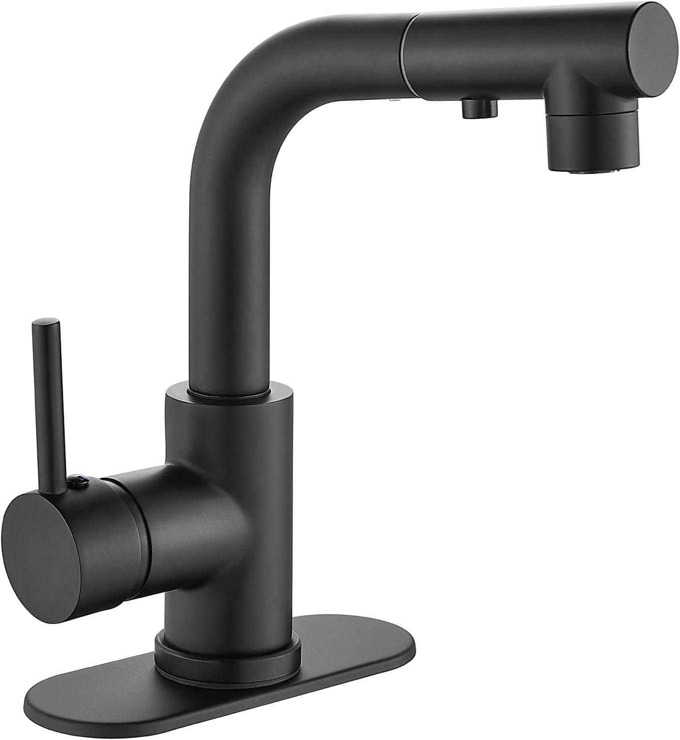 Matte Black Stainless Steel Pull-Out Spray Kitchen Faucet