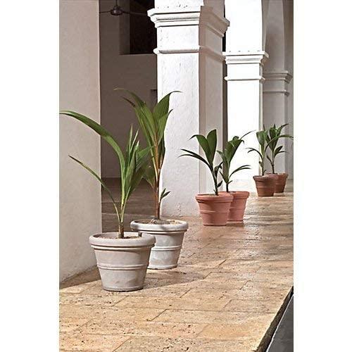 Crescent Garden Brunello Classic Rolled-Rim Plant Pot, Weathered Concrete, 12in