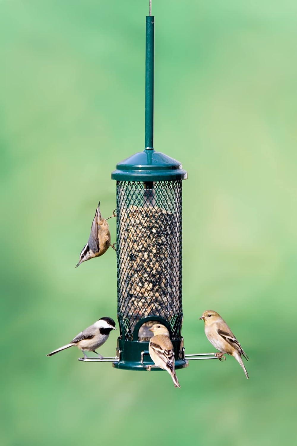 Squirrel Buster Mini