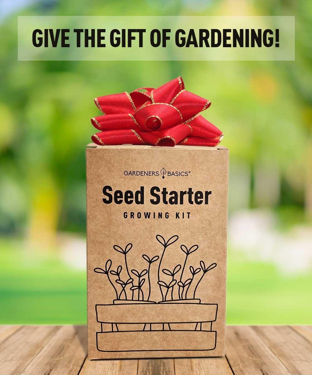 Black Indoor/Outdoor Vegetable Garden Starter Kit with Tools and Seeds