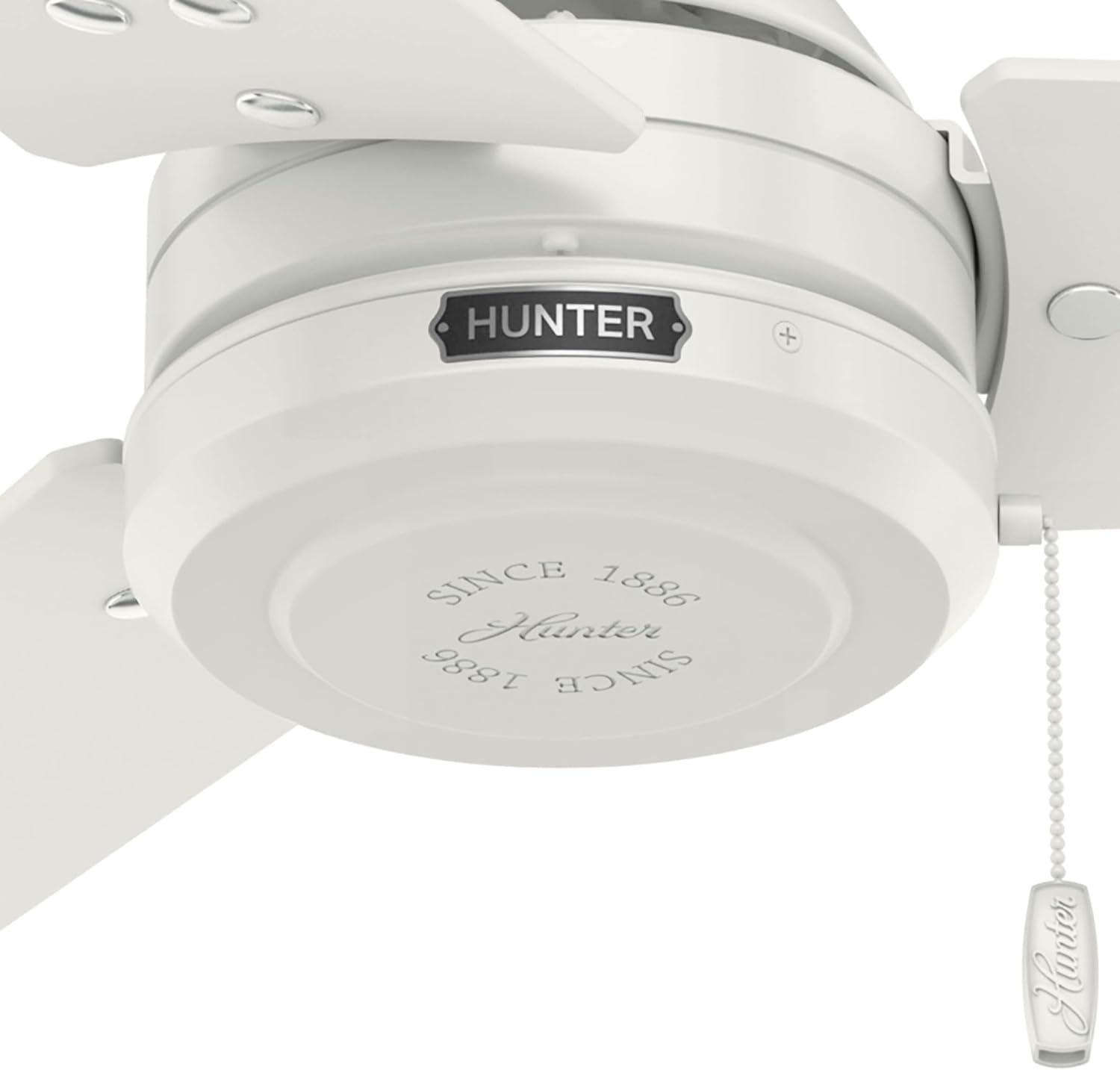 52" Cassius 3 - Blade Outdoor Standard Ceiling Fan with Pull Chain