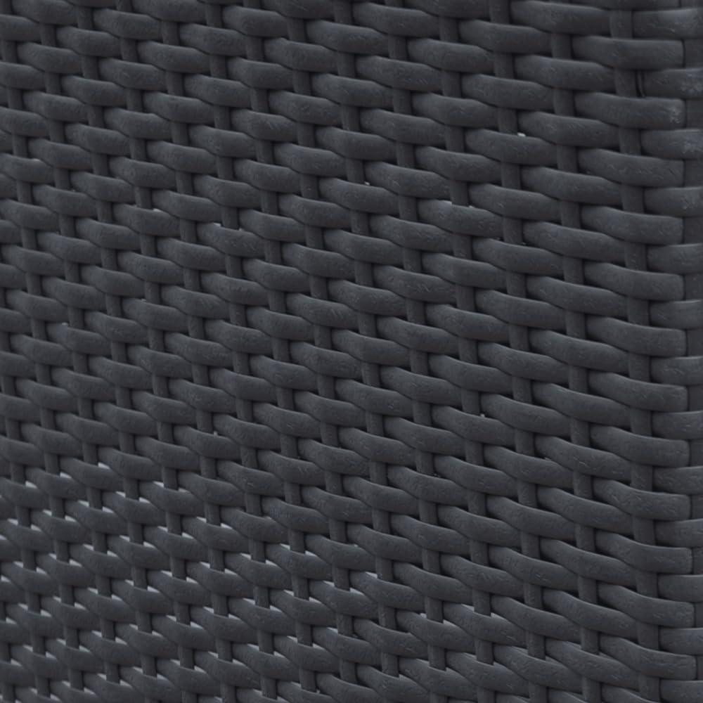 Highland Dunes Thuy Premium All-Weather Wicker Outdoor Armless Lounge Chair