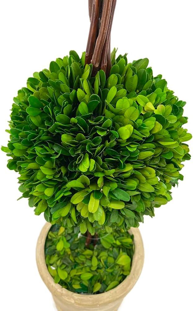Modern Home 27" Real Preserved Boxwood Topiary Plant – Double Ball Faux Greenery in Rustic Pot – Indoor Outdoor Decorative Potted Plant for Home, Office, Porch, Patio, or Event Décor